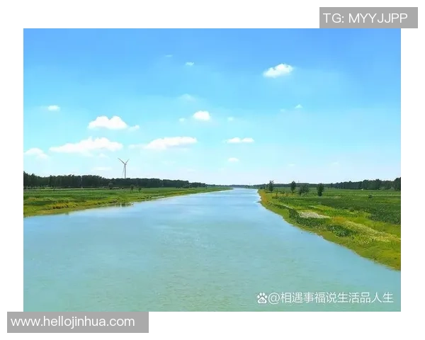 顾全大局与个人利益的平衡探讨如何实现和谐共赢的局面